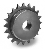 Piñon 3